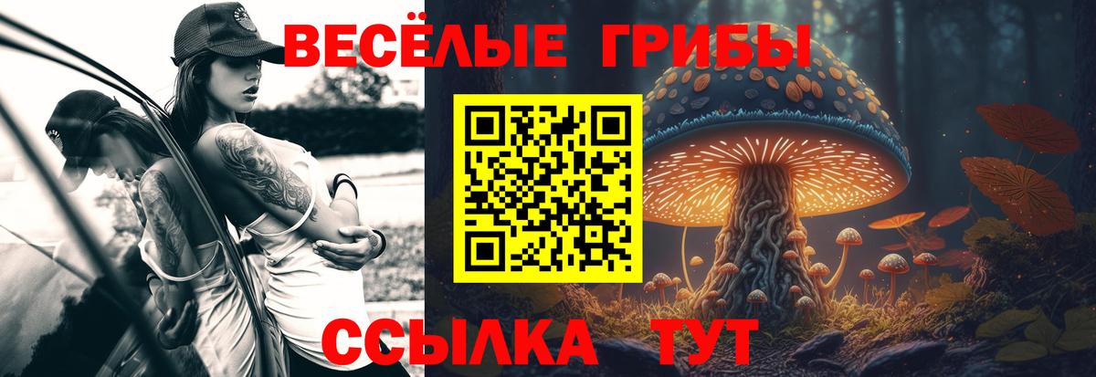 Нововоронеж  Галлюциногенные грибы Psilocybe  Вход с VPN 